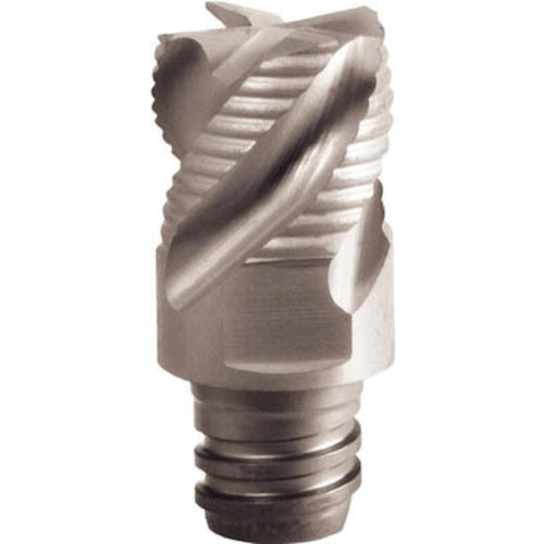 이스컬 멀티 마스터 거친 래핑 헤드 MM ERS IC908 MM ERS100B07-4T06 2 개