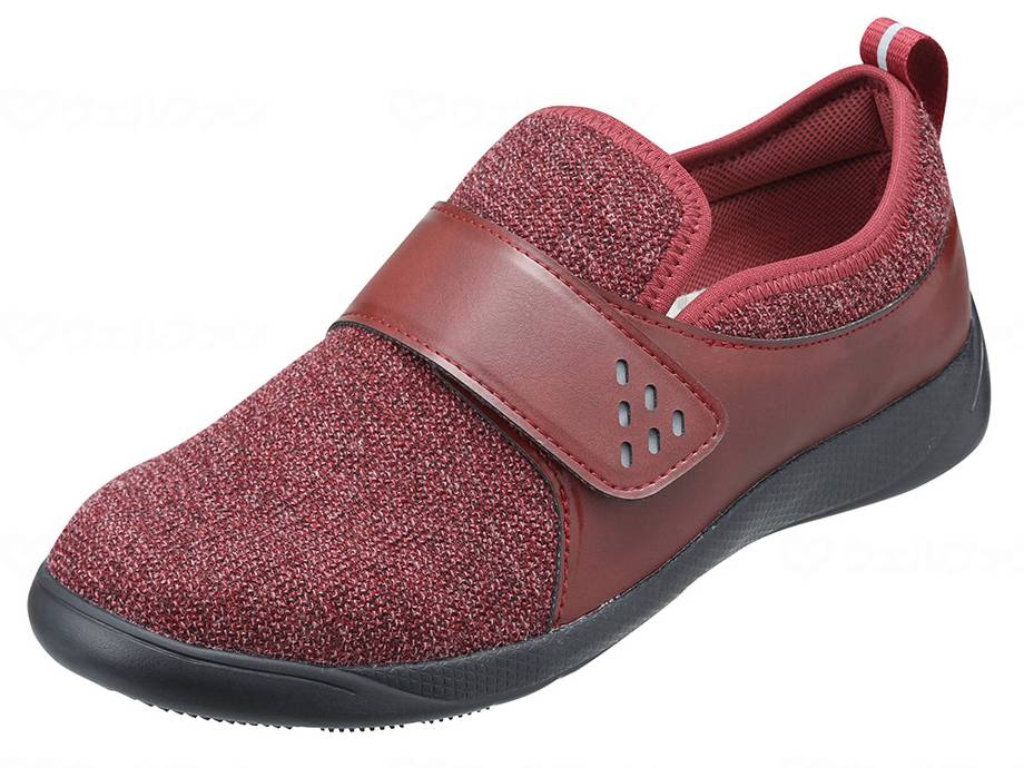 パンジーパンジーポエム(7801) ﾜｲﾝ L