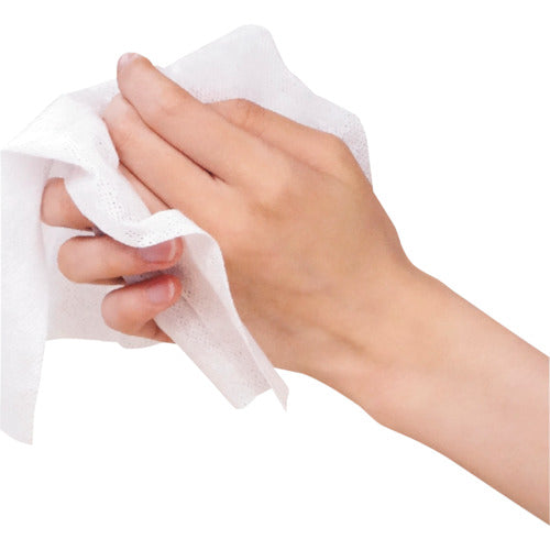 大黒　圧縮おしぼり　ＭＯＷＡ　５０個箱入　371535　1 箱