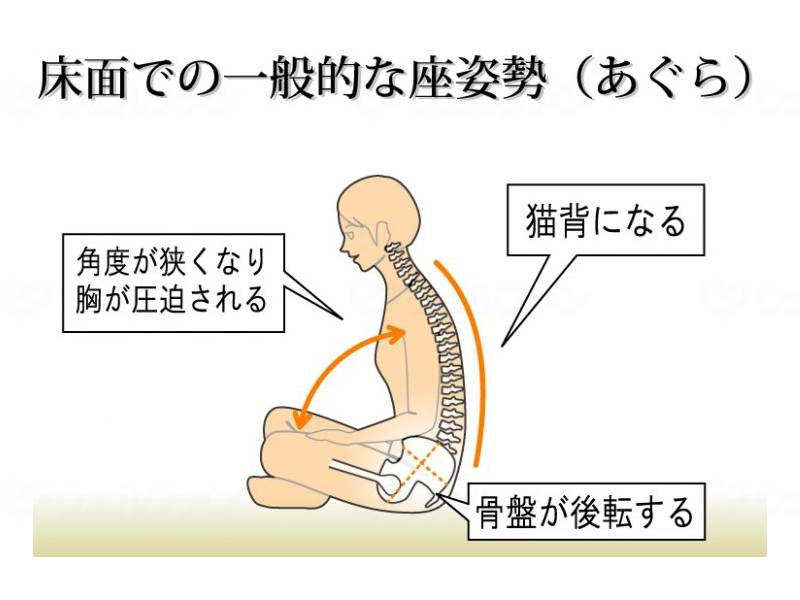 Rene Seiko Backrest Seat Yu Moss Green