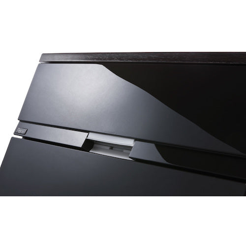 ＴＥＮＭＡ　フィッツプラス　プレミアム　ＦＰ５５０５　ＰＲ−ＢＫ　110012485　1 台