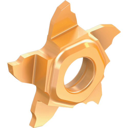 이스컬 그루브 돌기 공구용 팁 펜타컷 팁 펜타 17R/L-P-RS 우승수 칩 길이 17mm