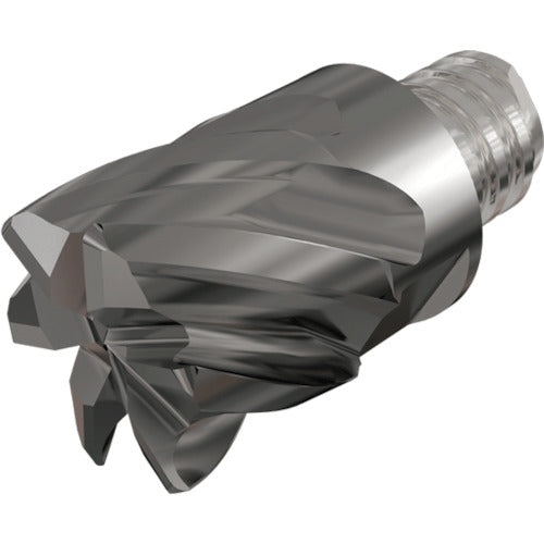 이스컬 멀티 마스터 가공 헤드 5매 블레이드 티타늄 대응 IC908 MM ECK320H38R4-5T21 1개