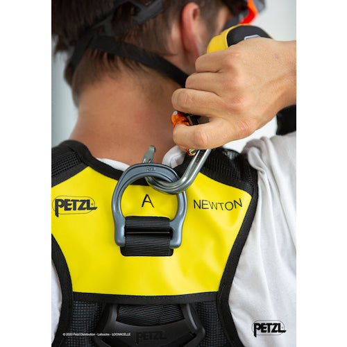 ＰＥＴＺＬ　ニュートン　ファスト（国際バージョン）２　C073DA02　1 本