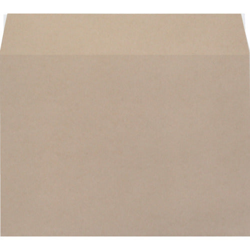Imra Envelopes Paper Net Envelopes Large (10 pieces) ENE150P 1 bag