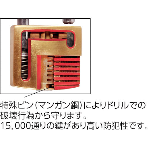 ブルク　ヴェヒター　樹脂強化カバー付ステンレスシャックル南京錠　アトランティック　２１７Ｆ−５０ＮｉＳＢ　10021　1 個