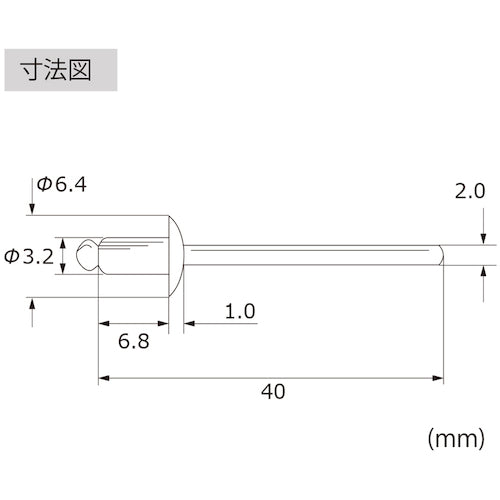 エビ　ブラインドリベット（丸頭）　ステンレス／ステンレス製　４−２（１０００本入）　LST42　1 箱