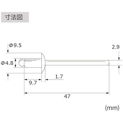 エビ　ブラインドリベット（丸頭）　ステンレス／スティール製　６−３（１０００本入）　LSS63　1 箱