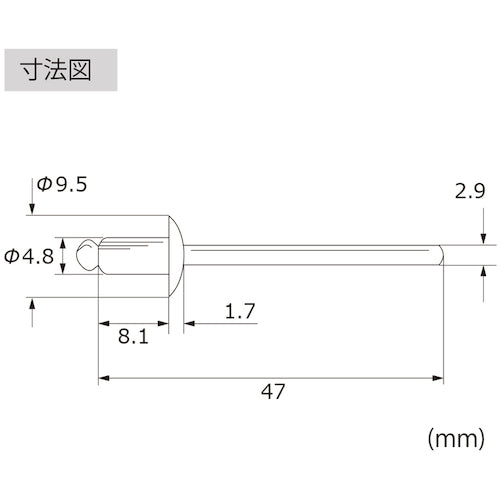 エビ　ブラインドリベット（丸頭）　ステンレス／スティール製　６−２（１０００本入）　LSS62　1 箱