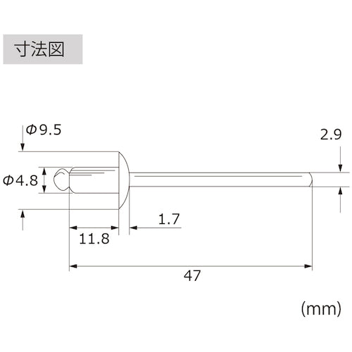 エビ　ブラインドリベット（丸頭）　ステンレス／スティール製　６−４（１０００本入）　LSS64　1 箱