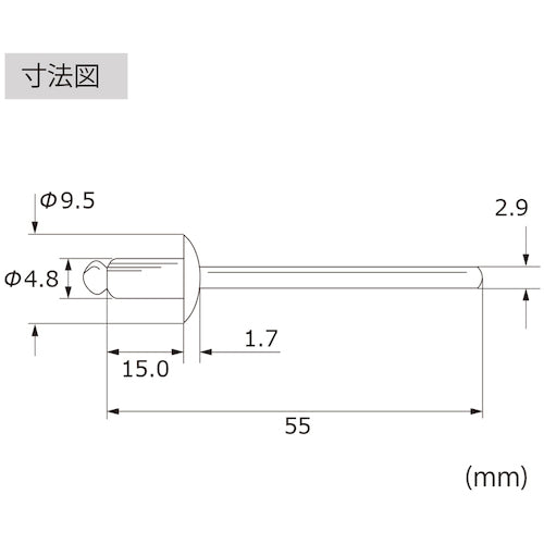 エビ　ブラインドリベット（丸頭）　ステンレス／スティール製　６−６（５００本入）　LSS66　1 箱