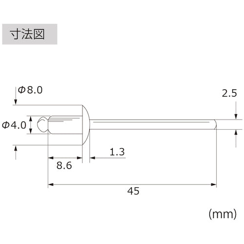 エビ　ブラインドリベット（丸頭）　ステンレス／ステンレス製　５−３（１０００本入）　LST53　1 箱