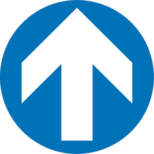 Green Cross Stair Riser Sign Stickers Arrow STPS-8 Blue 100mmΦ Set of 4 PVC 404108 1 Set