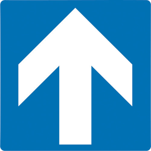 Green Cross Stair Riser Sign Stickers Arrow STPS-6 Blue 100 x 100 mm Set of 4 PVC 404106 1 Set