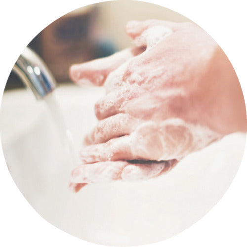 SR Foam E-Wash Spray Bottle 500ml EWASH-A-500 1 pc