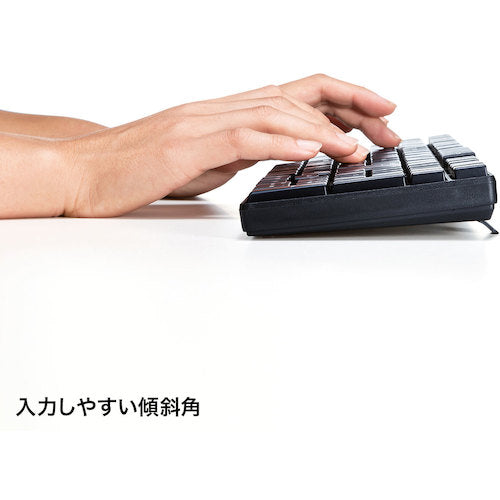 SANWA Wireless keyboard with mouse SKB-WL34SETBK 1 unit