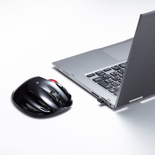 ＳＡＮＷＡ　Ｂｌｕｅｔｏｏｔｈ　４．０　ＵＳＢアダプタ（ｃｌａｓｓ１）　MM-BTUD46　1 個