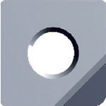 후지모토 페이스 가공용 S타입 정밀급 칩 DIA S32GUR 1개