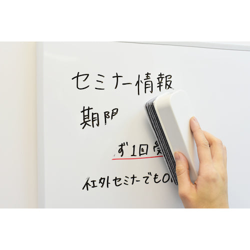 マグエックス　抗菌はがせるイレーザー　MCE-M　1 個