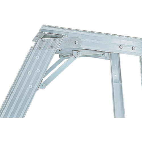 PiCa Folding Work Table DWR Type 2.1m with Handrail (H: 900mm) DWR-210A09H 1 unit