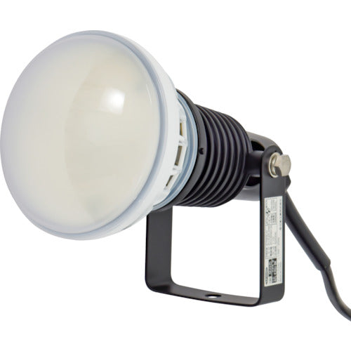 NICHIDO Eco-Big LED Floodlight 20W, Permanent Installation, Daylight White, 1.5m Wire, Black Body, AFL-E20J-BK, 1 Unit