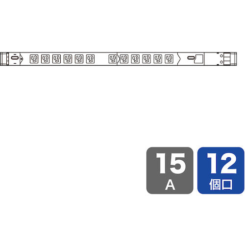 ＳＡＮＷＡ　１９インチサーバーラック用コンセント（１５Ａ）　TAP-SVSL1512　1 個