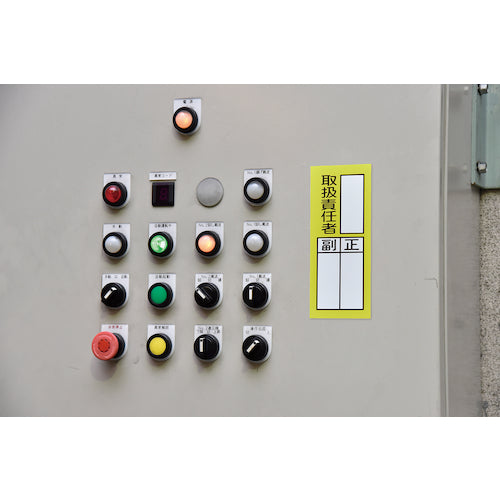 Green Cross Responsible Person Name Magnetic Sign, 76m, Handling Person, Copy, 200 x 80mm, 047976, 1 sheet