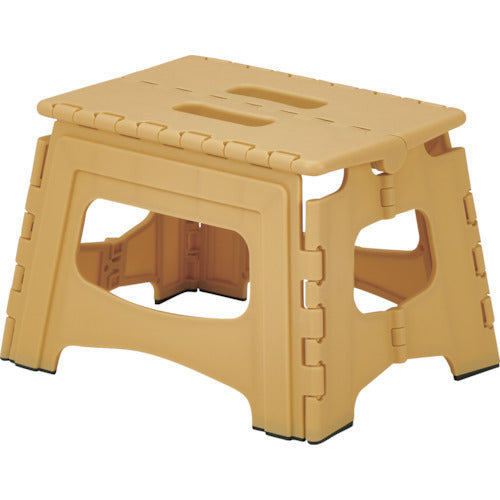 ＴＥＮＭＡ　フォールディングステップ２２　811000773　1 台