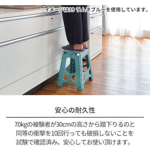 ＴＥＮＭＡ　フォールディングステップ２２　811000773　1 台