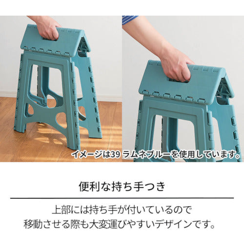 TENMA Folding Step 32 Wide 811000807 1 unit