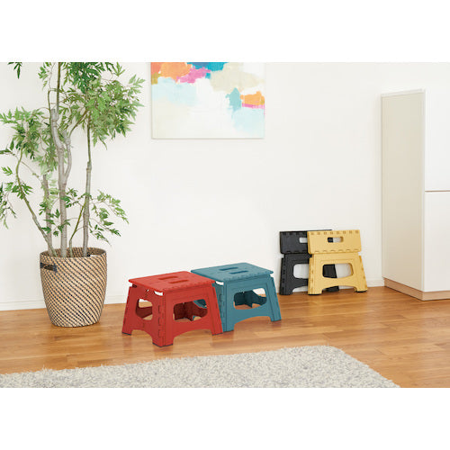 ＴＥＮＭＡ　フォールディングステップ２２　811000774　1 台