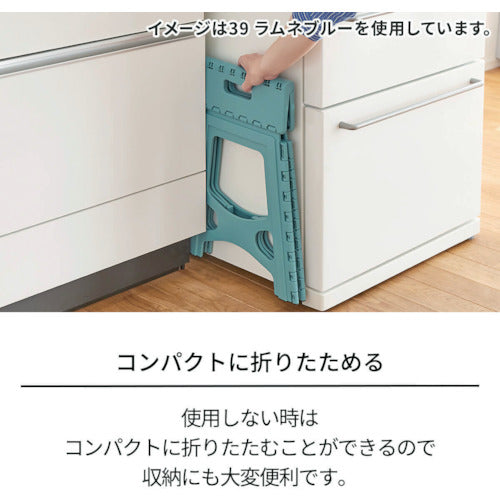 ＴＥＮＭＡ　フォールディングステップ３９　811000768　1 台