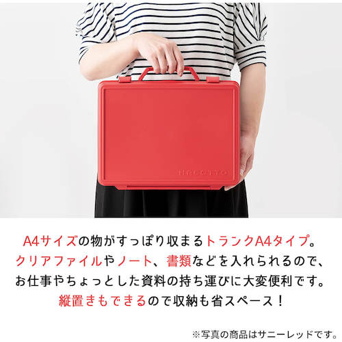 TENMA Tool Box Hacot A4 Trunk White 811000793 1 pc