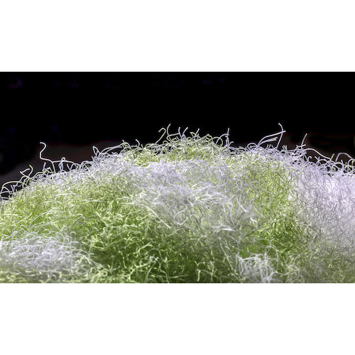 サンコー　びっくりドーナツクリーナー　BH-79　1 個