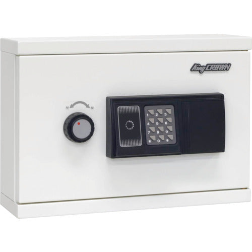 킹 키박스 KB-RFE-10 1대