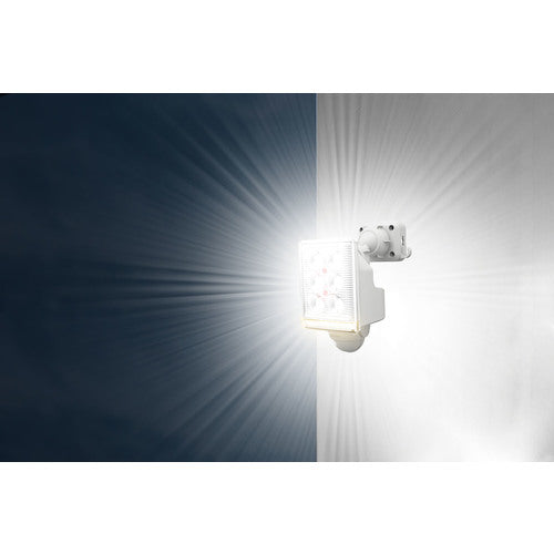 RITEX 9W 1-lamp free-arm LED sensor light with remote control LED-AC1009 1 unit