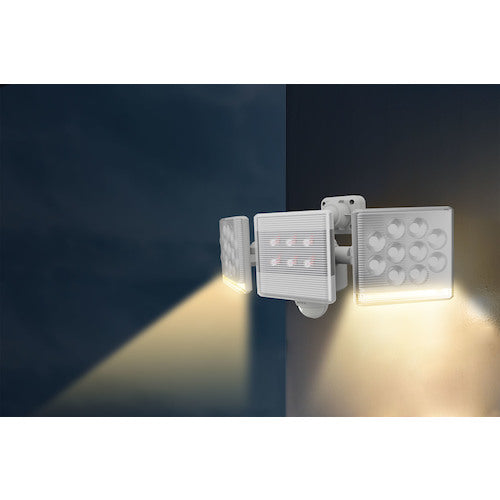 RITEX 12W 2-bulb free-arm LED sensor light with remote control LED-AC2030 1 unit