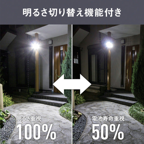 ＲＩＴＥＸ　５Ｗ２灯　フリーアーム式　ＬＥＤソーラーセンサーライト　S-220L　1 台