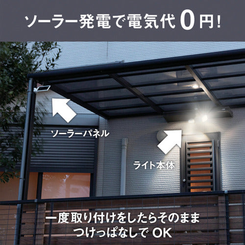 ＲＩＴＥＸ　５Ｗ２灯　フリーアーム式　ＬＥＤソーラーセンサーライト　S-220L　1 台