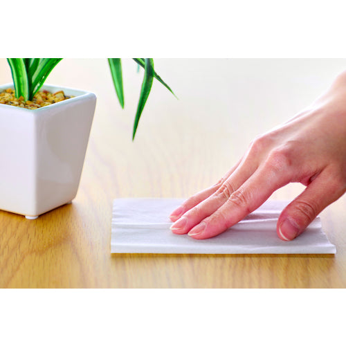 TRUSCCO 살균 약액 충분히 젖은 와이퍼 대형 30 장 TJYTW-30 1 PK