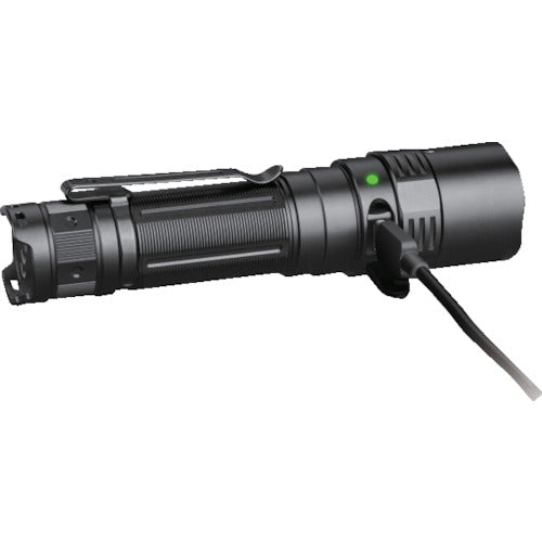 ＦＥＮＩＸ　ＬＥＤライト　PD40RV2　1 個