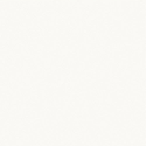 Nippon Paint PROTECTON Interior Wall VK-200 for DIY 4976124878008 1 piece