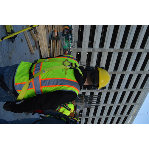 Honeywell H100 풀 하네스 FP81HH100DU 1 개