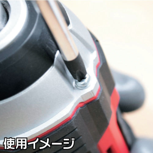 アストロプロダクツ　プラスドライバー　ＰＨ２×１００ｍｍ　2002000027467　1 本