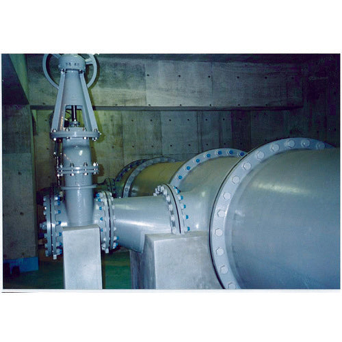 SDC Stainless Steel Anti-Corrosion Bolt SB12065 1 pc