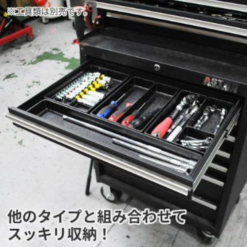 Astro Products Drawer Parts Tray TYPE C 2003000003864 1 piece