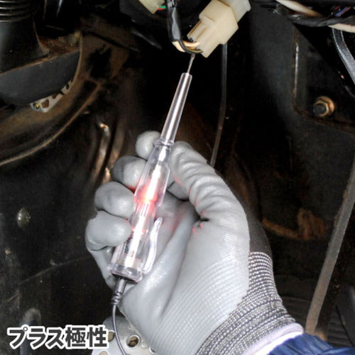 Astro Products AP Voltage Tester Positive/Negative Polarity Detection 2001000009855 1 pc