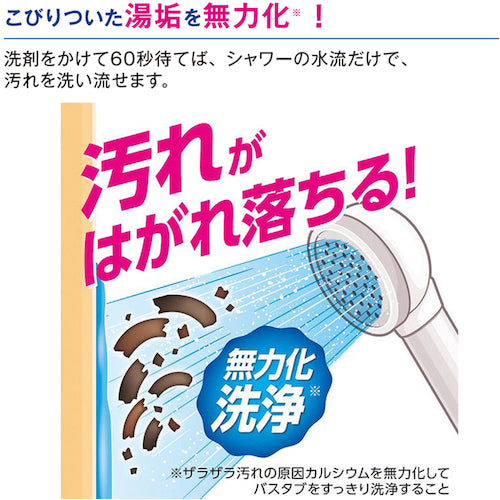 사자 상업용 욕조 클렌징 실버 이온 플러스 4L BSBCAG4 1 개