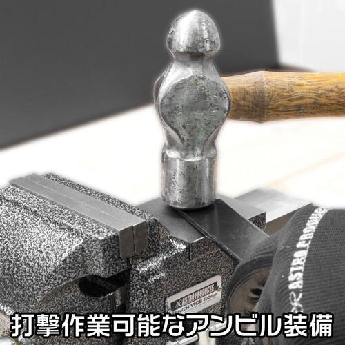アストロプロダクツ　ＡＰ　ベンチバイス　１００ｍｍ　ＢＶ７９１　2003000007916　1 個