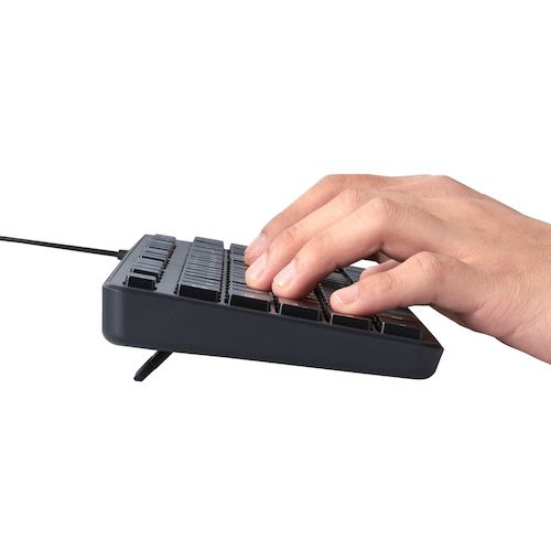 エレコム　有線キーボード　薄型　メンブレン式　抗菌　フルサイズ　ブラック　TK-FCM108KBK　1 台